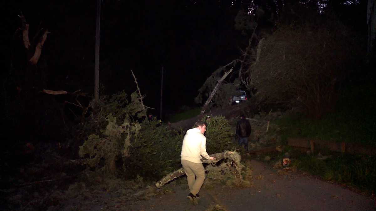 Gusty winds knock over trees, causing damage in the Santa Cruz Mountains