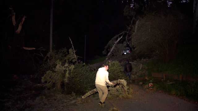 Gusty winds knock over trees, causing damage in the Santa Cruz Mountains - Vimarsana News