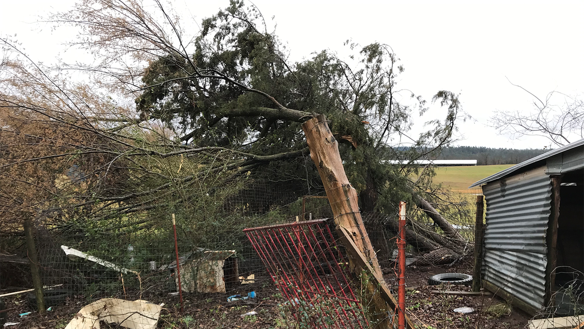 Overnight storms bring damage to Waldron