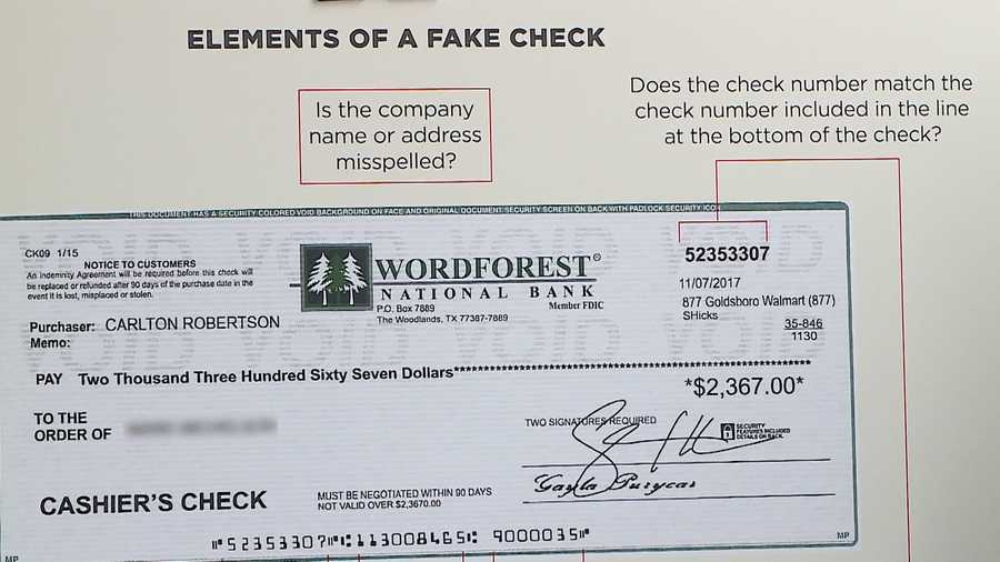 Fake check foto DeepFakes, Can