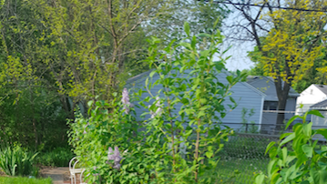 Yard, flowers, trees, grass image of yard, flowers, trees, grass