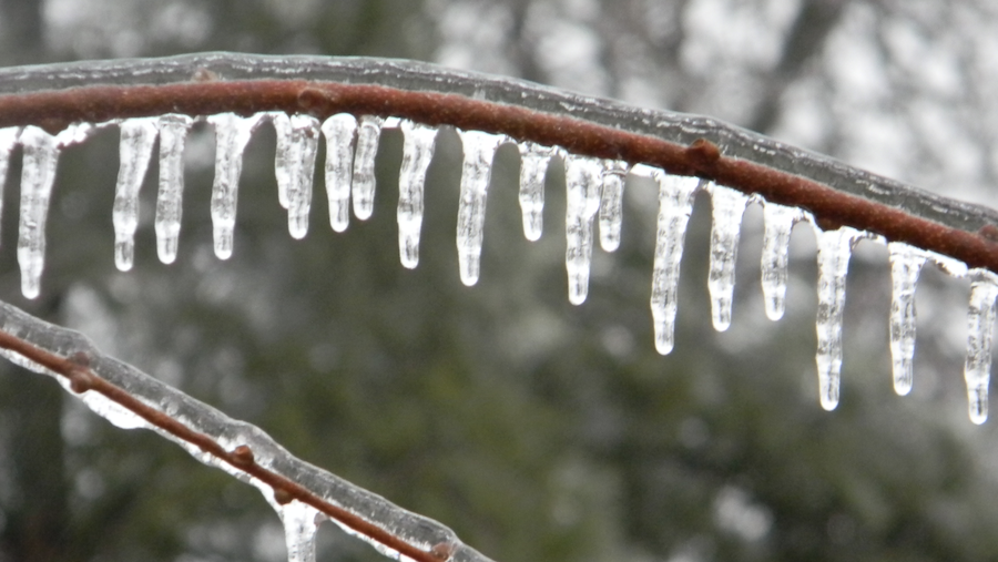 Belski's Blog - Some freezing rain for Wednesday night