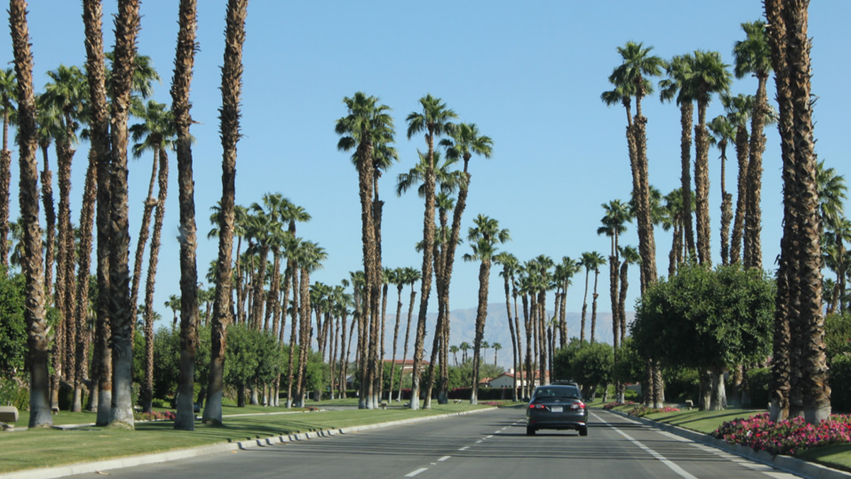 Palm Springs Weather 10 Day Forecast