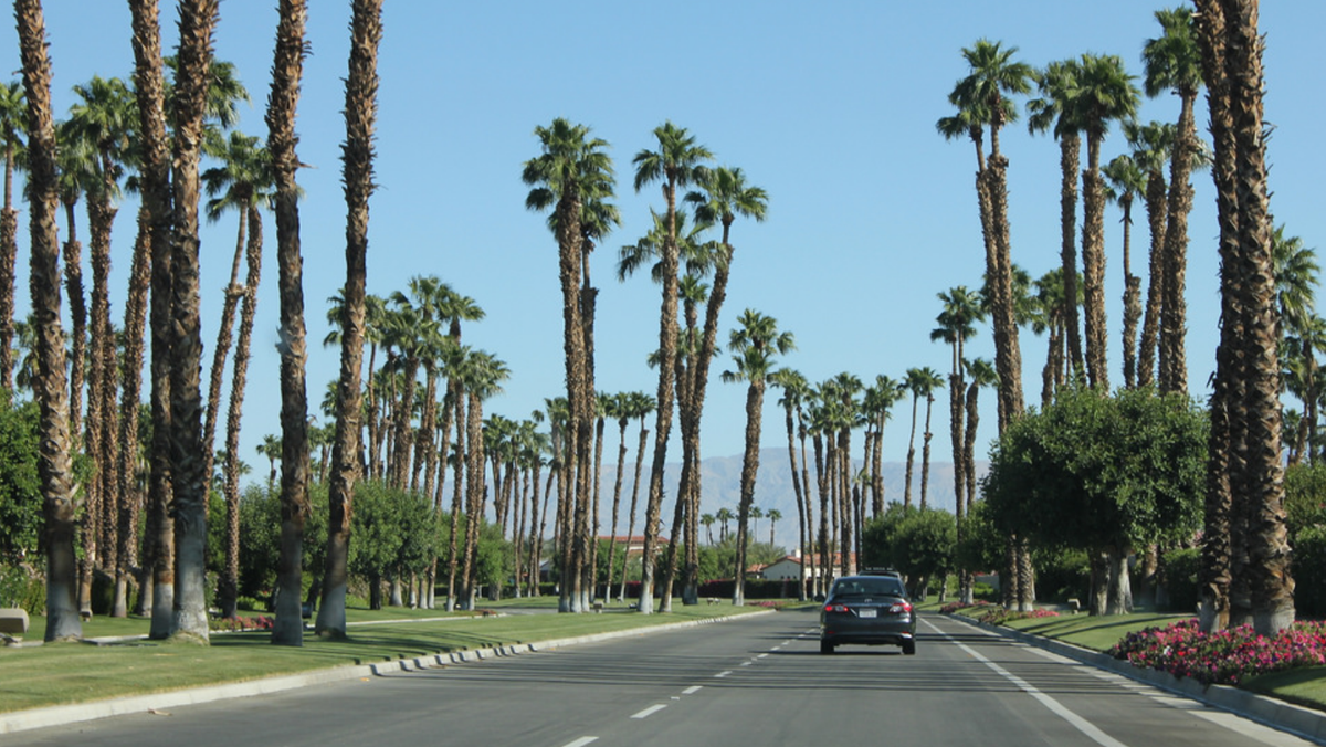 Palm Springs Weather 10 Day Forecast