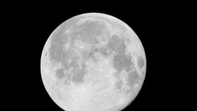 The Full Worm Moon is almost here! Find out when to look up in Louisville - Vimarsana News