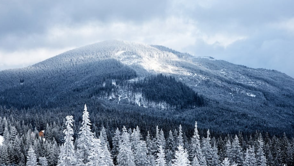 belski snow is forecast smoky mountains belski snow is forecast smoky mountains