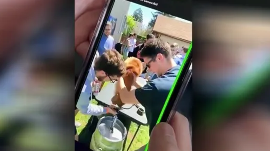 'Keg stand!' Fraternity suspended after video appears to show dog