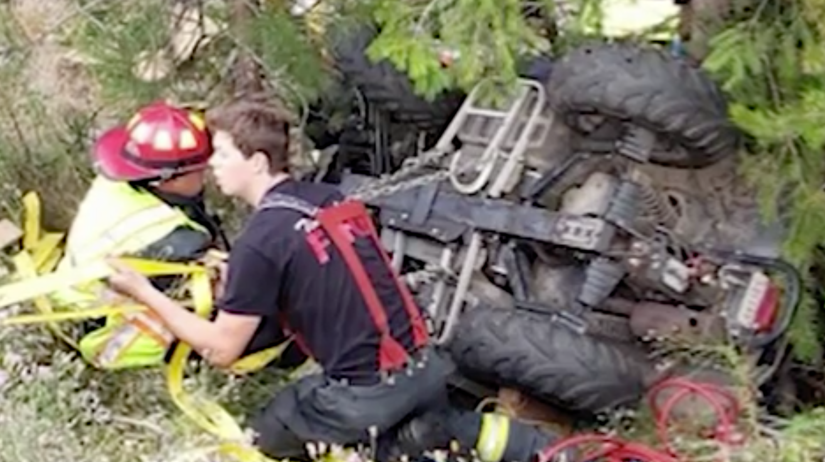 66-year-old Man Survives 3 Days Pinned To Tree After ATV Crash