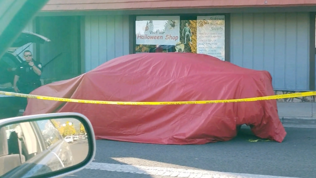 Man shows up at police department with a body in his car, admits to ...