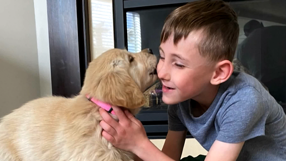 Boy with prosthetic leg gets puppy with missing paw
