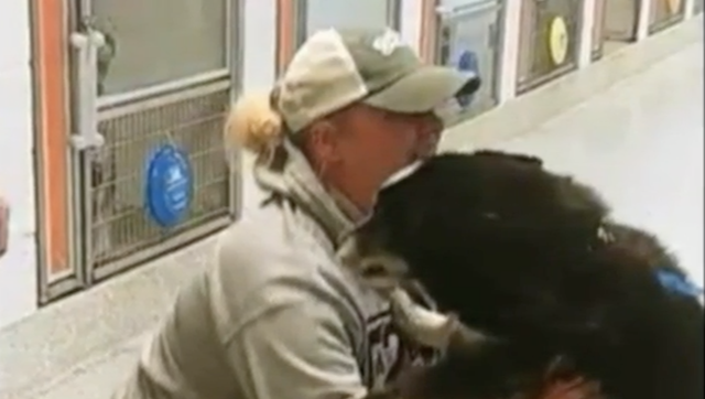 Lost dog reunited with owner after being found over 200 miles away from home - Vimarsana News