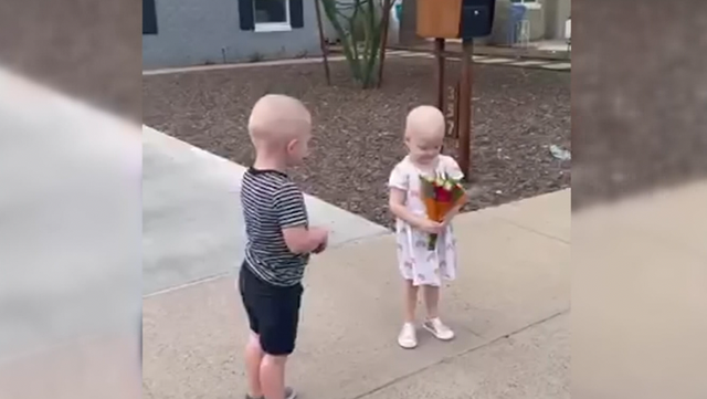 WATCH: 3-year-olds reunite after forming fast friendship in the hospital as they battled cancer - Vimarsana News
