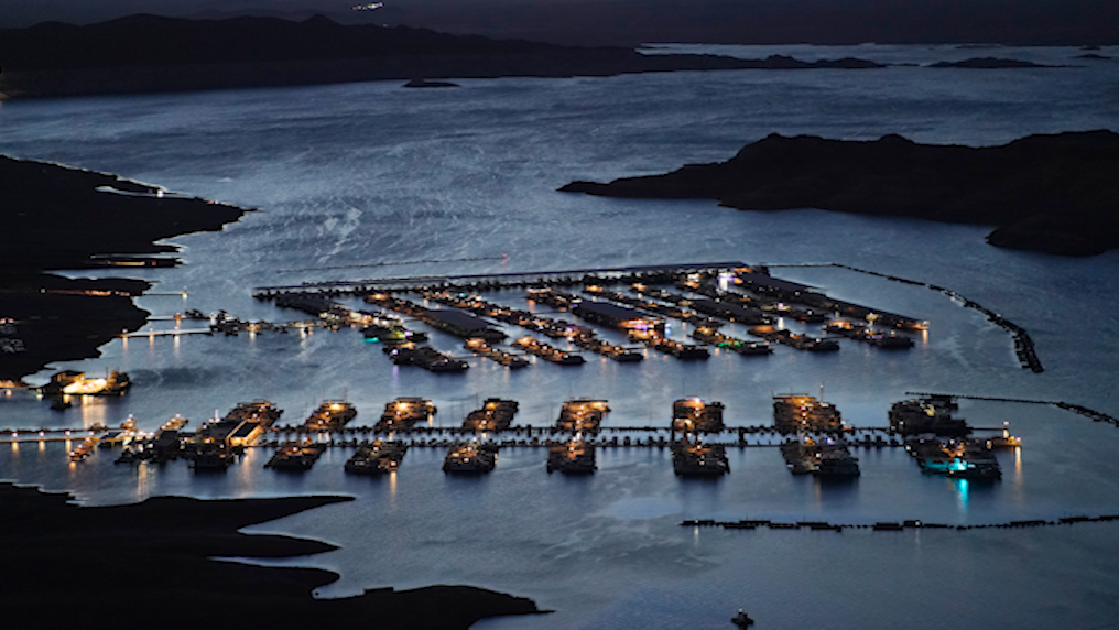 PHOTOS Withering drought shows Lake Mead boat graveyard