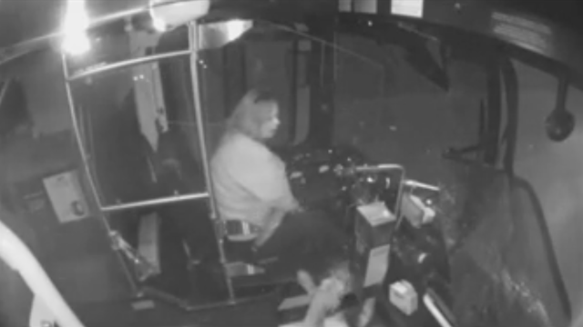 VIDEO: Deer crashes through city bus window - Vimarsana News