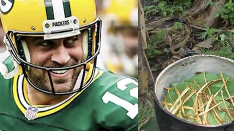 Rodgers says psychedelic drug led to best season of his life - Vimarsana News