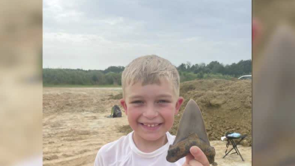 8-year-old boy finds prehistoric shark tooth