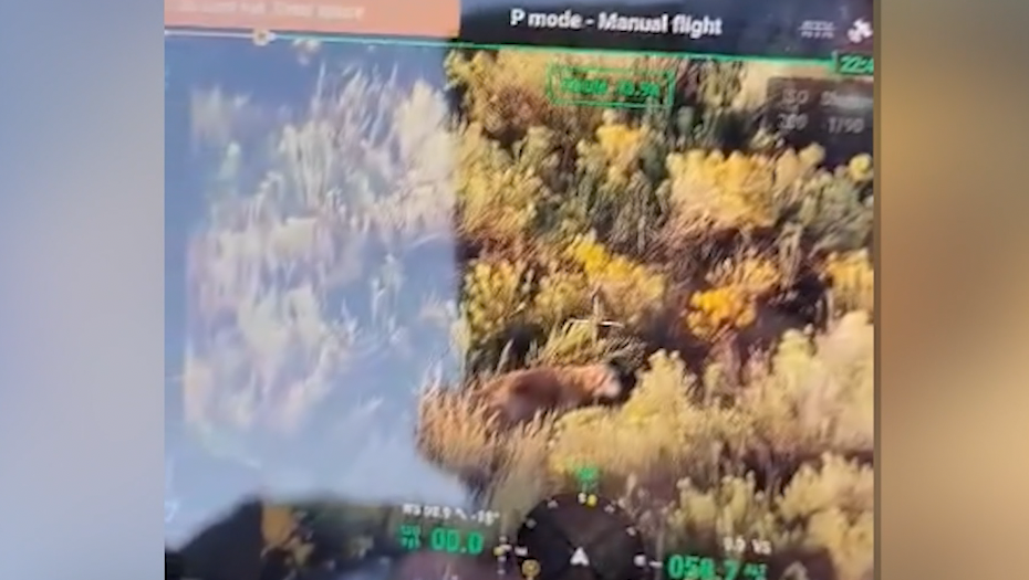 Video: Infrared drone camera helps locate dog that was missing for months