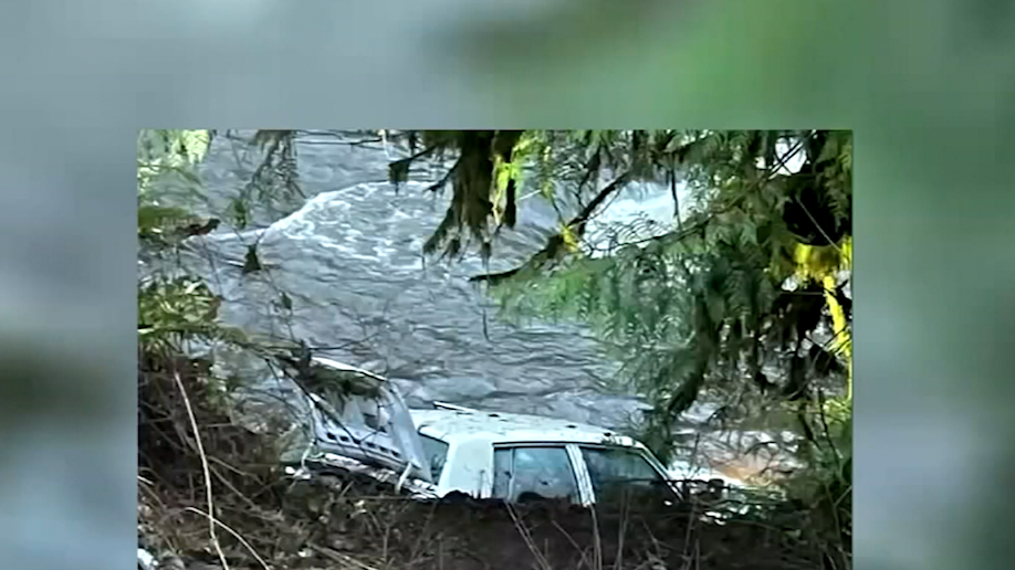 Elderly man sleeps in his trunk overnight after car goes over embankment