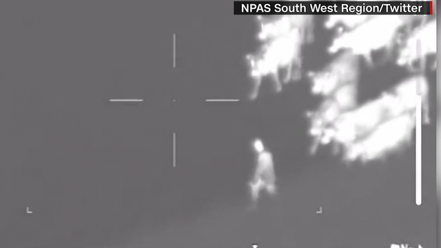 WATCH: Herd of cows help police capture suspect - Vimarsana News