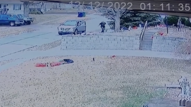 Bellevue family looking for Christmas decoration thief - Vimarsana News