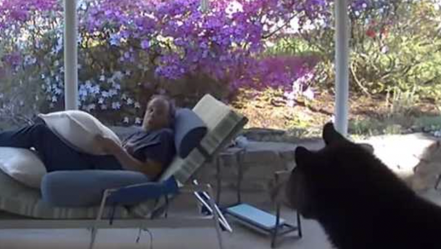 North Carolina man comes face-to-face with bear - Vimarsana News