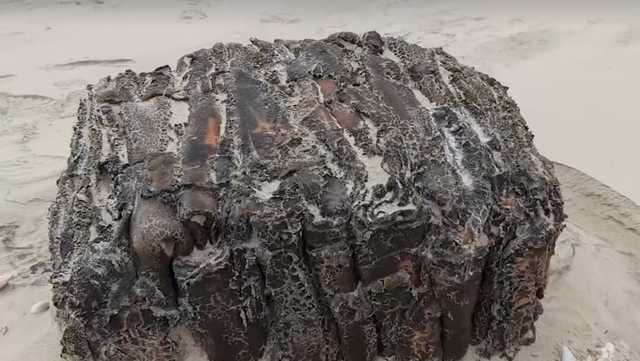 Video: Man finds lost Nazi loot on Texas beach - Vimarsana News