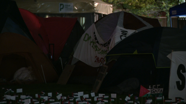 Pro-Palestinian demonstration continues in Schenley Plaza - Vimarsana News