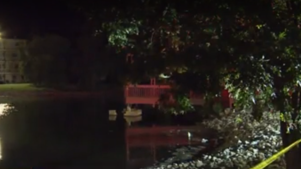 Driver expected to be okay after car crashes into pond overnight