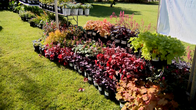 Garden Festival hosts dozens of vendors for Ladew fundraiser - Vimarsana News