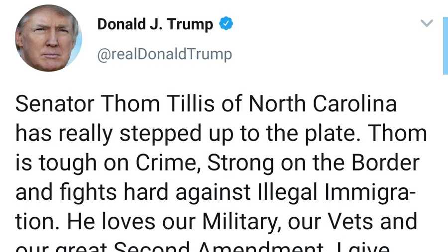 Trump Tillis endorsement