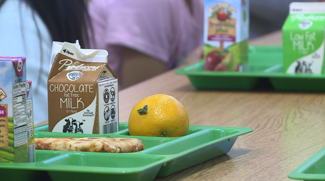 Free meals for children at local schools and community centers during the summer - Vimarsana News