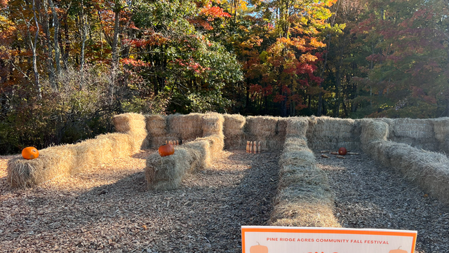 At Pine Ridge Acres Fall Fest: pumpkin patches, hayrides and a giant corn maze - Vimarsana News