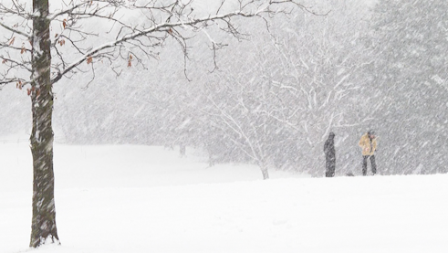 First snow day had local residents enjoying their free time outside - Vimarsana News