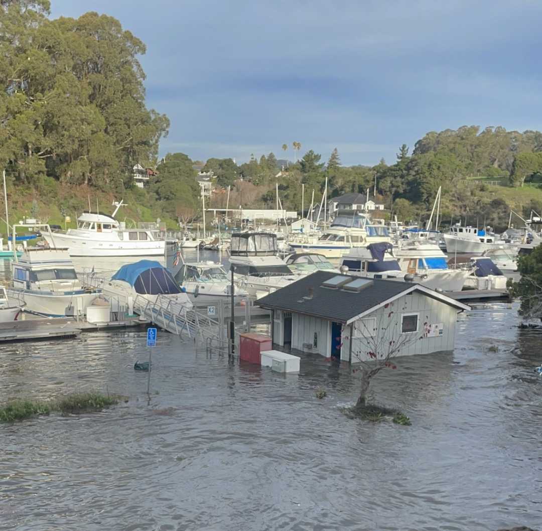 California tsunami leaves Santa Cruz harbor flooded