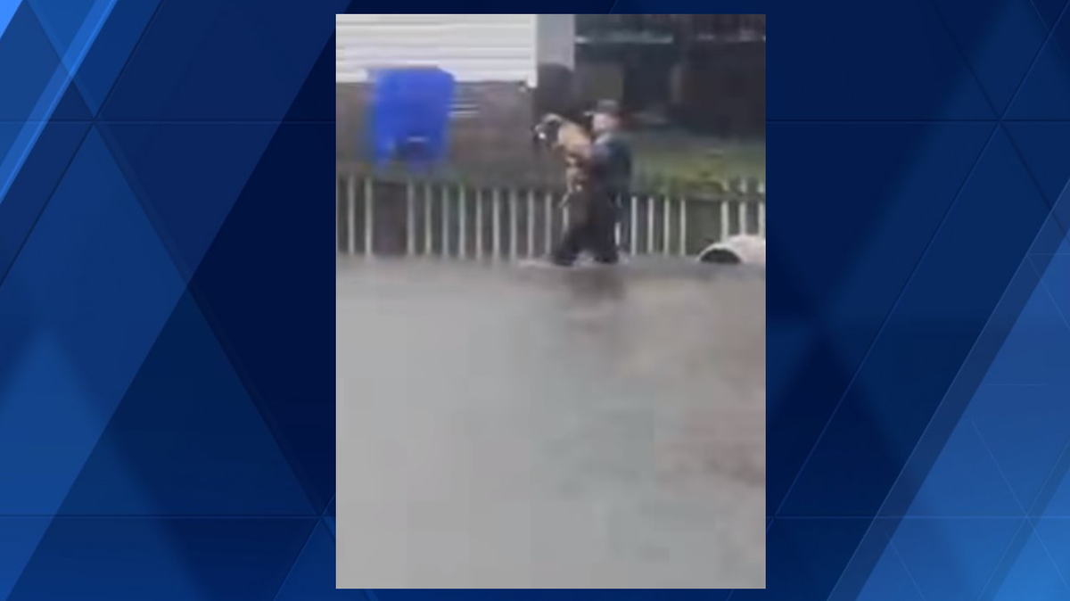 North Carolina: Dog rescued from flood water by Greenville Police Officer