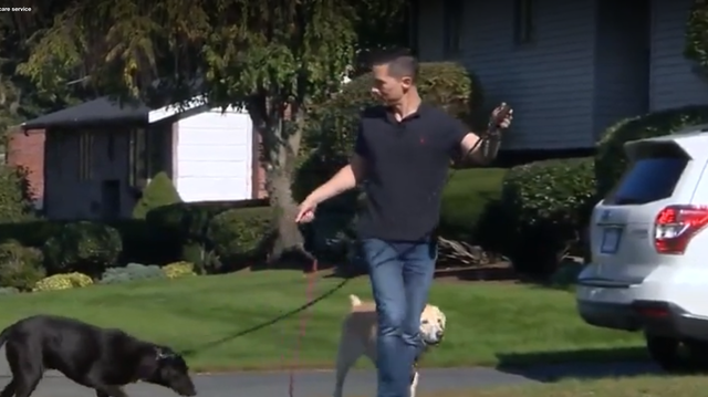 Dog owner shares warning about Rover.com pet care service - Vimarsana News