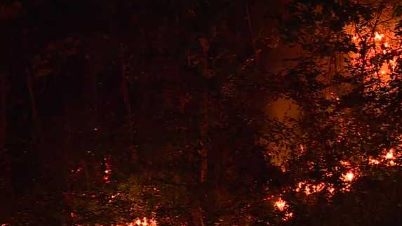 Firefighters battle wildfire in Irondale