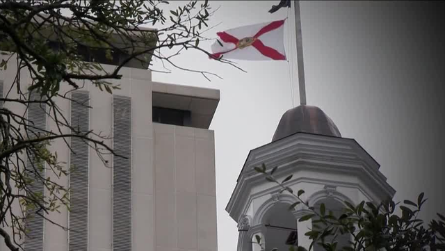 New bills filed to repeal 'Free Kill' law - Vimarsana News