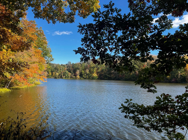 North Carolina Fall 2023: 5 best places to enjoy the fall leaves in ...