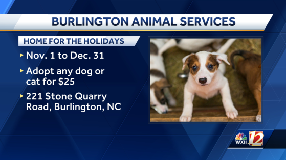 North Carolina Burlington Animal Services Home for the Holidays