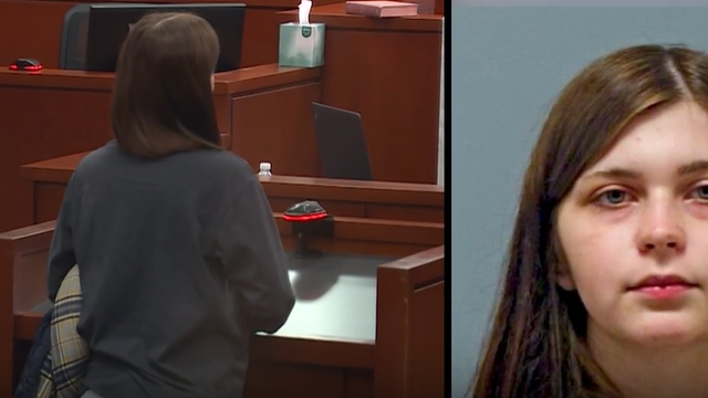 Warren County woman arraigned on animal cruelty charges - Vimarsana News