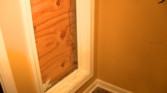 Deer breaks into a Brandon families window, ransacks their home - Vimarsana News