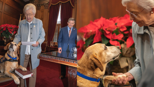 Millie, the Work Zone Safety Dog, sworn in as honorary ALEA Trooper K-9 - Vimarsana News