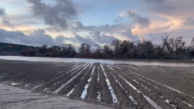 Food prices may rise after California flooding delays planting - Vimarsana News
