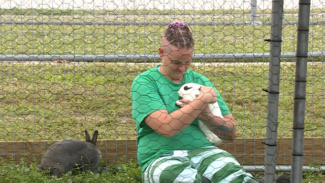 Indian River County Sheriff's Office in Florida rehabilitating inmates with ranching, farming - Vimarsana News
