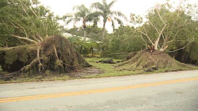 Homeowner grateful after dodging damage during Florida tornado - Vimarsana News