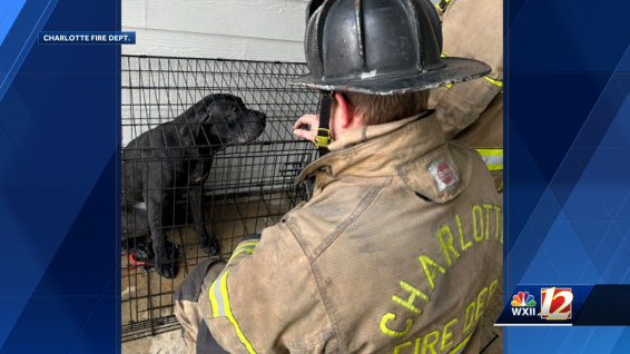 North Carolina: Charlotte Fire Department rescues 2 dogs from apartment ...