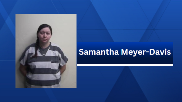 samantha meyer-davis mug