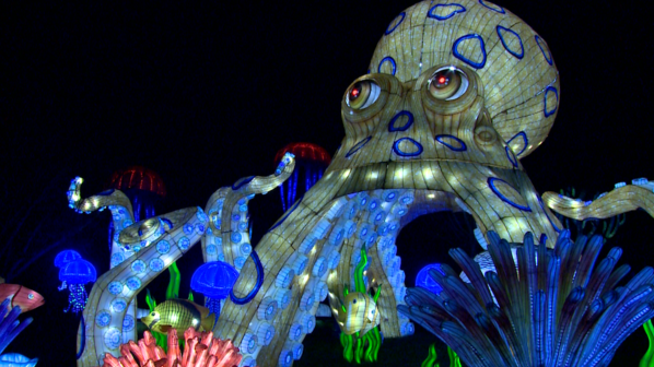 Louisville Zoo's Wild Lights has new displays in 2024: Check them out - Vimarsana News