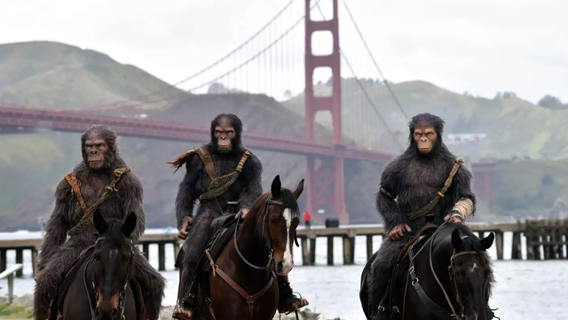 Costumed apes seen on horseback ride near Golden Gate Bridge - Vimarsana News